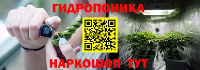 стафф Конаково
