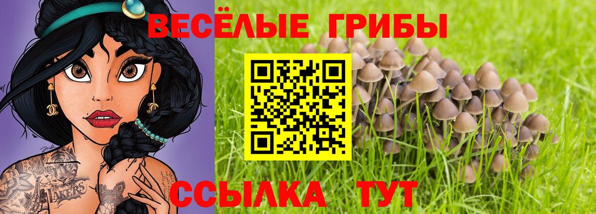 Псилоцибиновые грибы Cubensis  Галлюциногенные грибы Psilocybe  Вход с VPN  Керчь 