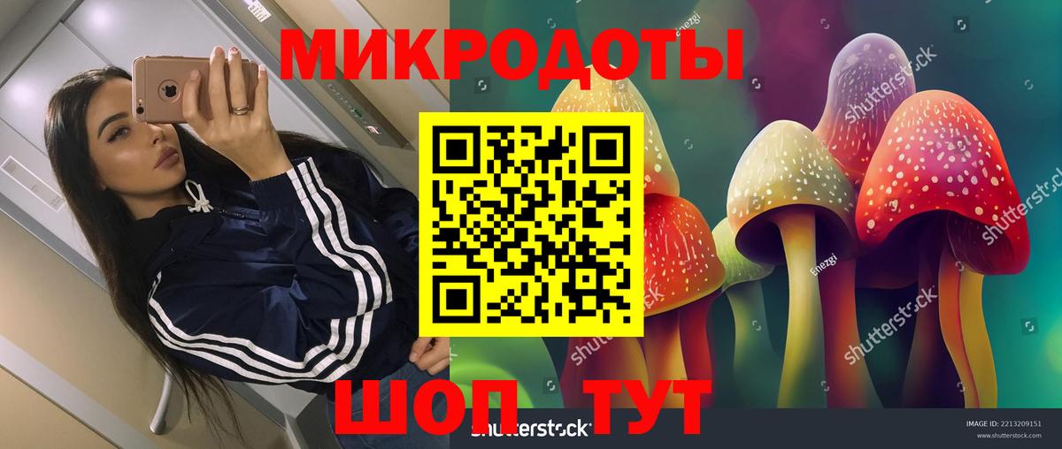 Псилоцибиновые грибы Psilocybine cubensis Керчь